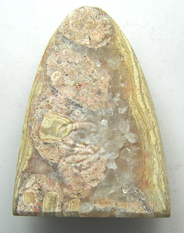 หลวงปู่ทวดพิมพ์ใหญ่ แกะจากหอยหินอายุนับล้านปี วัดเจดีย์หอย จ.ปทุมธานี (องค์ที่ 1)