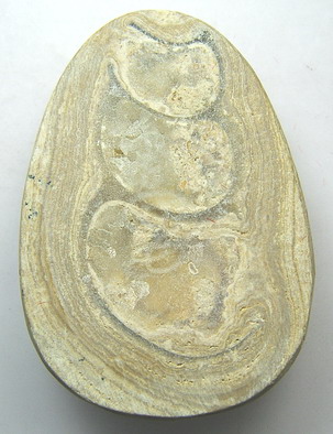 หลวงปู่ทวดพิมพ์กลาง แกะจากหอยหินอายุนับล้านปี วัดเจดีย์หอย จ.ปทุมธานี (องค์ที่ 1)