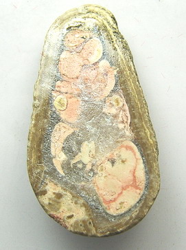 หลวงปู่ทวดพิมพ์เล็ก แกะจากหอยหินอายุนับล้านปี วัดเจดีย์หอย จ.ปทุมธานี (องค์ที่ 1)