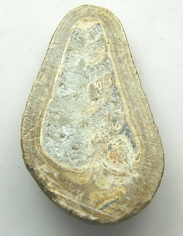 หลวงปู่ทวดพิมพ์เล็ก แกะจากหอยหินอายุนับล้านปี วัดเจดีย์หอย จ.ปทุมธานี (องค์ที่ 2)
