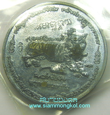 เหรียญพญาเสือนอนกินชุบน้ำมันเสือ เนื้อชิน หลวงพ่อพระมหาวิศิษฐ์ วัดมหาธาตุ กทม.